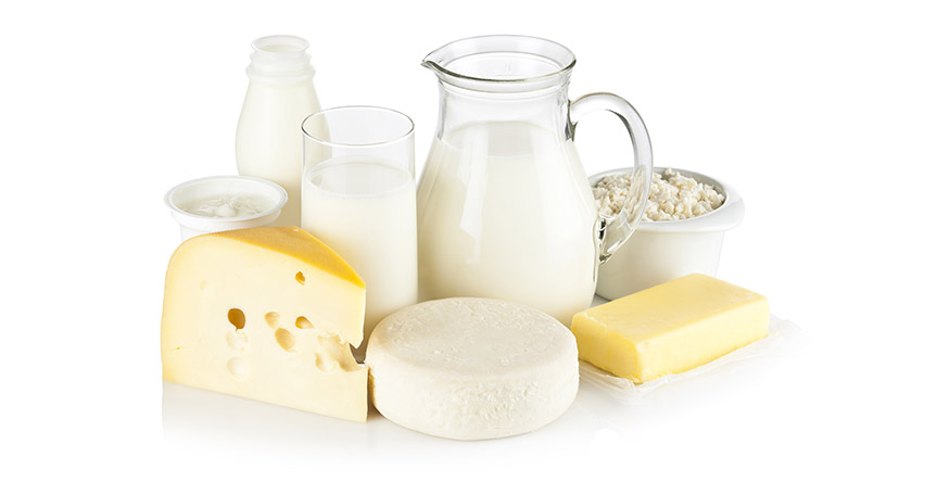 Dairy cheese butter web banner